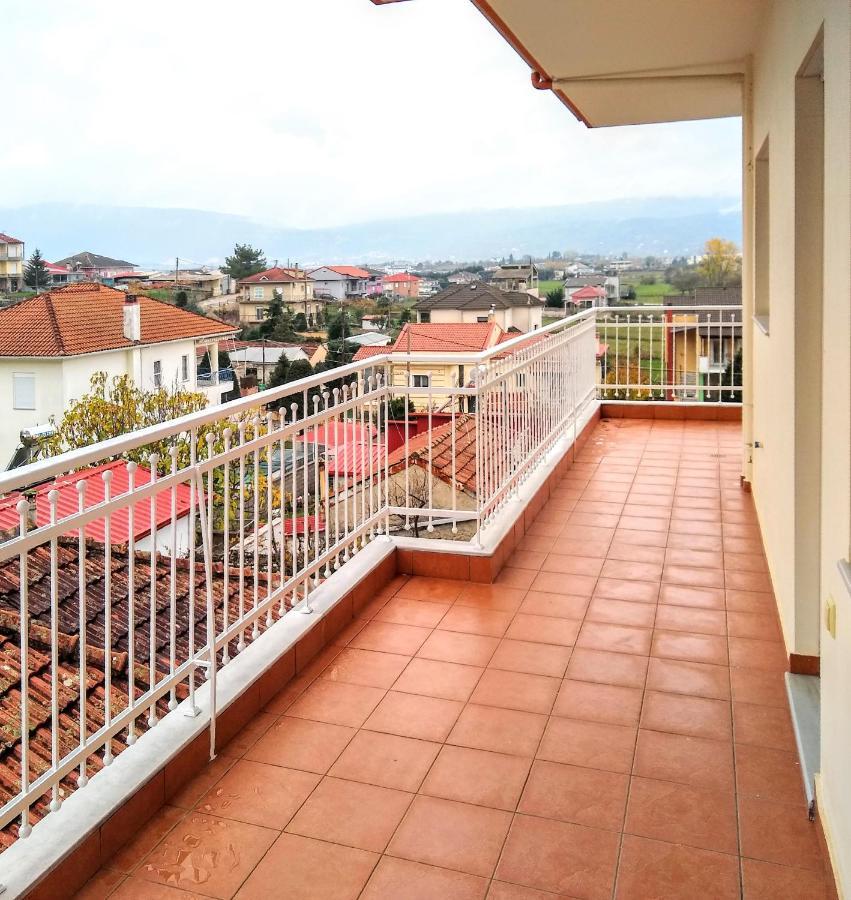 Appartement Philoanesi à Neokesaria Extérieur photo