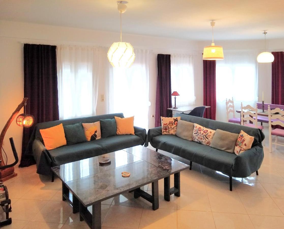 Appartement Philoanesi à Neokesaria Extérieur photo
